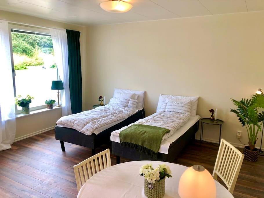 Cozy Modern Studio Apartment Stay Falkenberg Extérieur photo